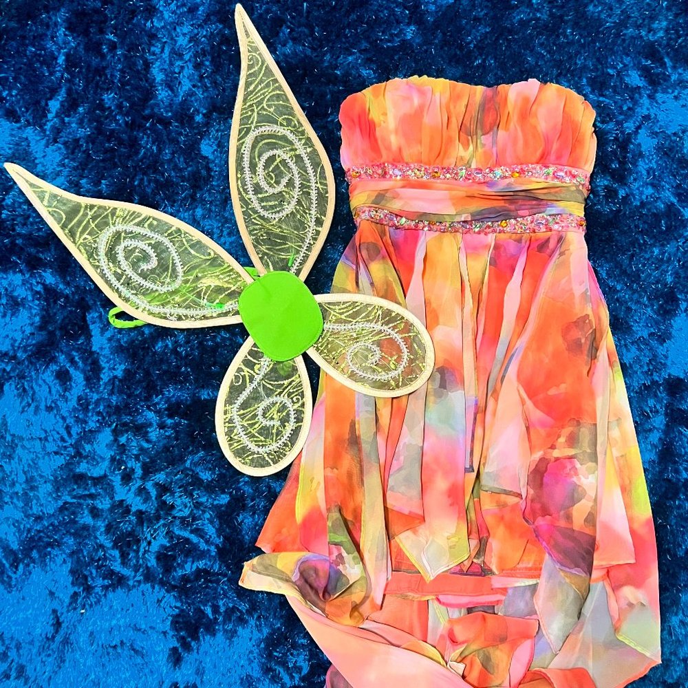 Fairy Costume!